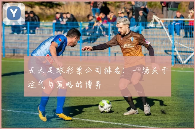 五大足球彩票公司排名:一场关于运气与策略的博弈