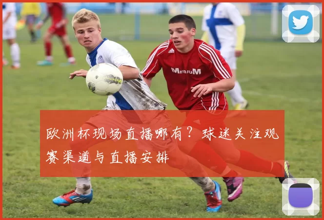 欧洲杯现场直播哪有?球迷关注观赛渠道与直播安排