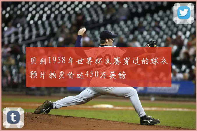 贝利1958年世界杯决赛穿过的球衣预计拍卖价达450万英镑