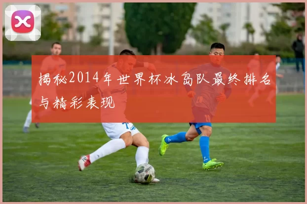 揭秘2014年世界杯冰岛队最终排名与精彩表现