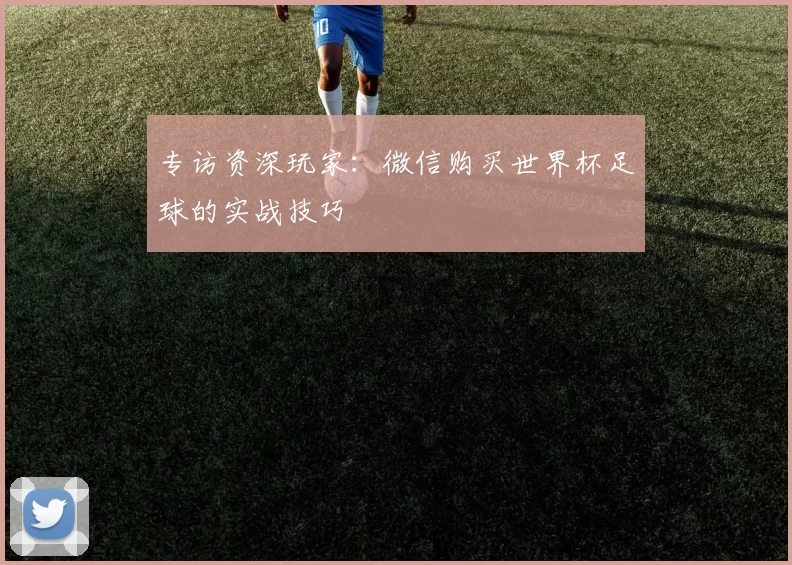 专访资深玩家：微信购买世界杯足球的实战技巧