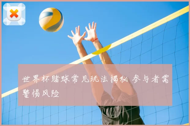 世界杯赌球常见玩法揭秘 参与者需警惕风险