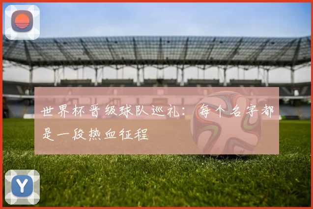 世界杯晋级球队巡礼：每个名字都是一段热血征程