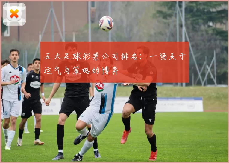 五大足球彩票公司排名:一场关于运气与策略的博弈