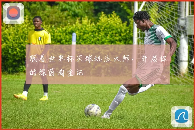 跟着世界杯买球玩法大师，开启你的绿茵淘金记
