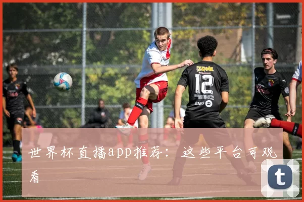 世界杯直播app推荐:这些平台可观看