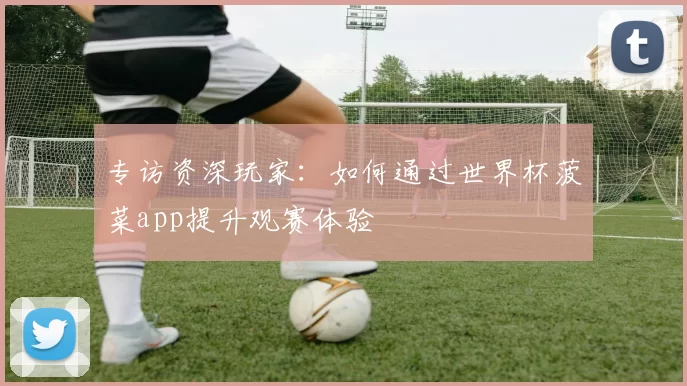 专访资深玩家：如何通过世界杯菠菜app提升观赛体验