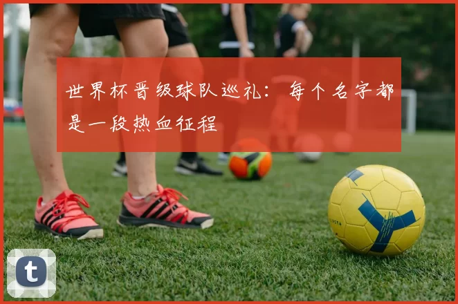 世界杯晋级球队巡礼：每个名字都是一段热血征程
